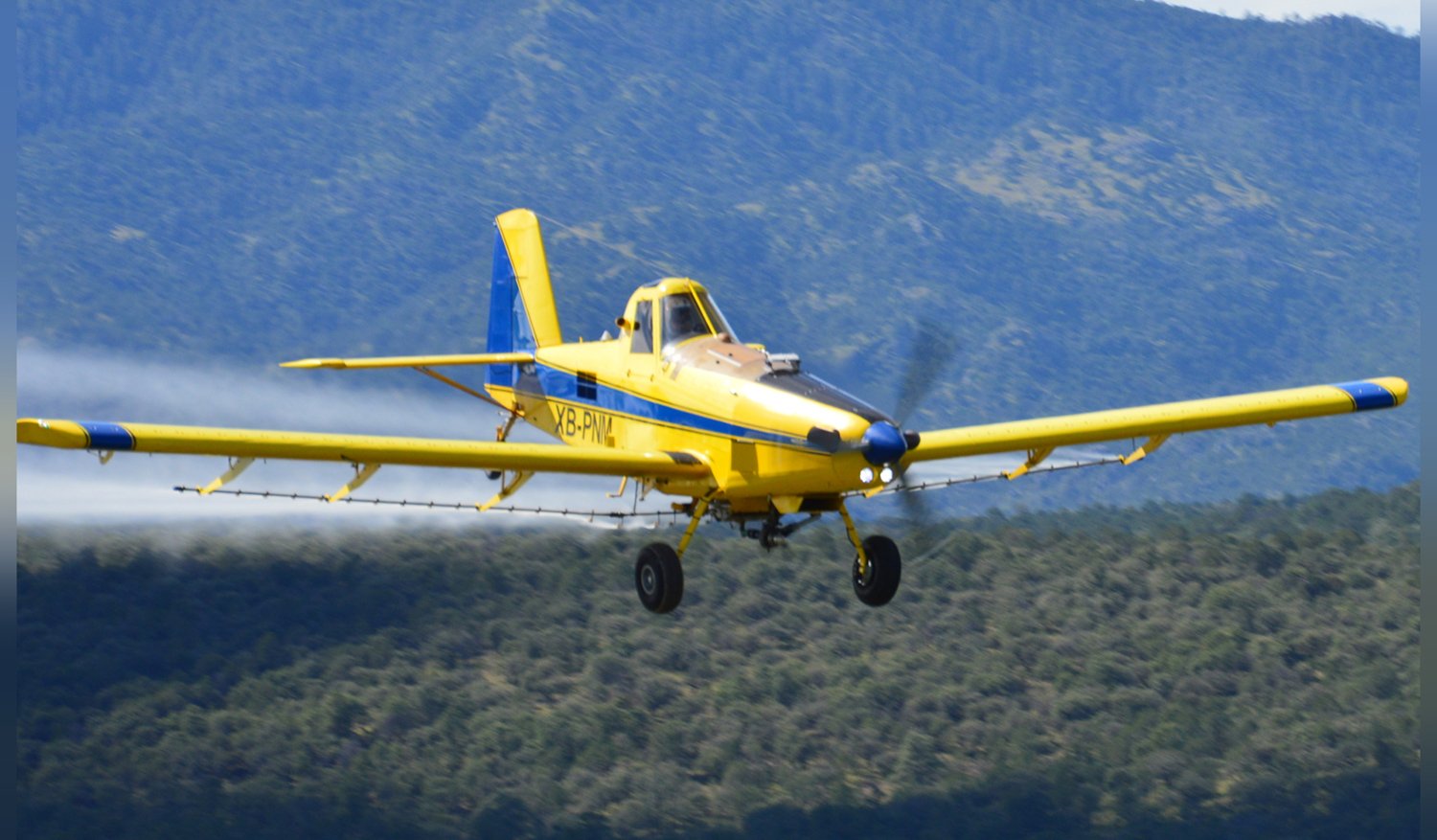 Fumigaciones de Campo